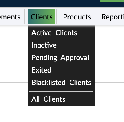 Client menu item with custom views and all clients page